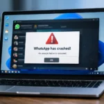 WhatsApp Desktop crashing error on Windows 11